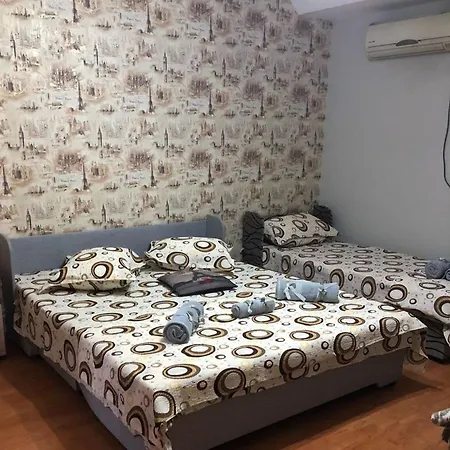 Casa Ionut Vendégház *